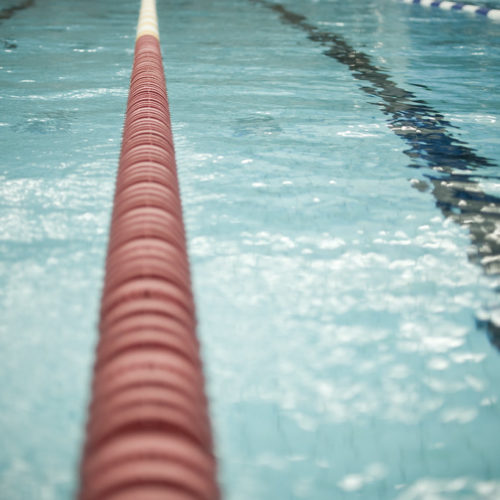 Butterfly Sprint Clinic ~ Aug/Sep ~ Sun
