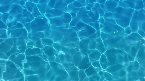 LittleSwimmers Summer Camp for kids 4-10